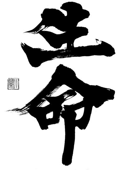 「命への想い」は、私とは次元が違う——母が語る、ダウン症の娘・書家 金澤翔子さんの生き方（サムネイル画像2）