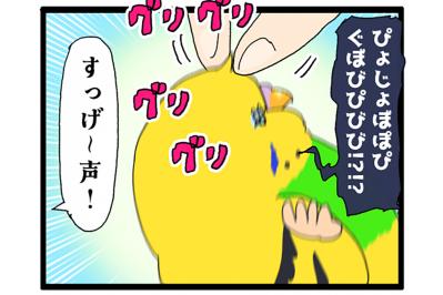 愛おしさ全開でしょ！ゴル＆カチョの必死な姿に笑いが隠せない【鳥マンガ #201】（サムネイル画像）
