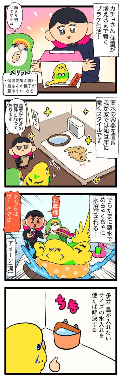 2羽の再会シーンに思わず涙。ゴル＆カチョの絆が尊すぎて…【鳥マンガ #200】（サムネイル画像4）