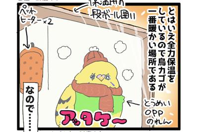 視界の外でもにぎやか♪えるぽぴ家のかわいいインコたち【鳥マンガ #204】