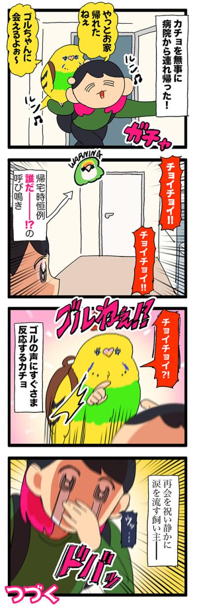 2羽の再会シーンに思わず涙。ゴル＆カチョの絆が尊すぎて…【鳥マンガ #200】（サムネイル画像5）