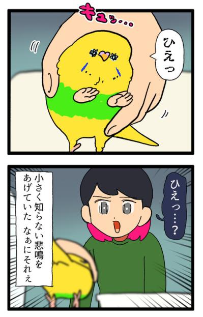 退院したセキセイインコ・カチョ。新たな声真似習得に飼い主も「ヒエッ」！【鳥マンガ #199】（サムネイル画像5）