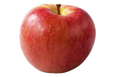 簡単スタート！わんこのための薬膳基礎知識：おすすめ食材と避けたいNG食材リスト（サムネイル画像9）