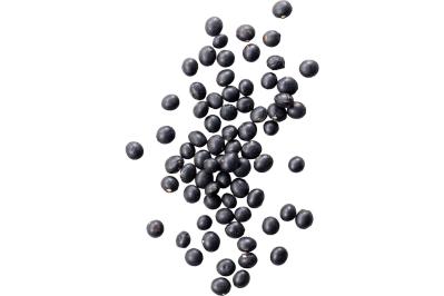 簡単スタート！わんこのための薬膳基礎知識：おすすめ食材と避けたいNG食材リスト（サムネイル画像8）