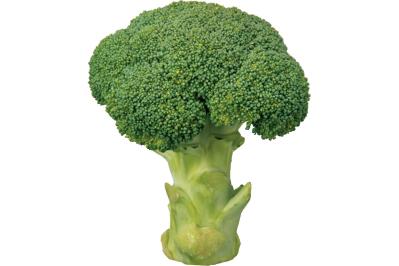 簡単スタート！わんこのための薬膳基礎知識：おすすめ食材と避けたいNG食材リスト（サムネイル画像7）