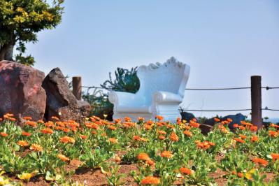 2月から見頃がスタート！ 5月下旬まで花が次々と咲く【伊豆の花の絶景】2選（サムネイル画像6）