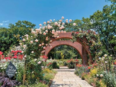 花好き必見！ 東京ドーム65個分の広さ【国営武蔵丘陵森林公園】の2〜5月のフラワーリレー（サムネイル画像7）