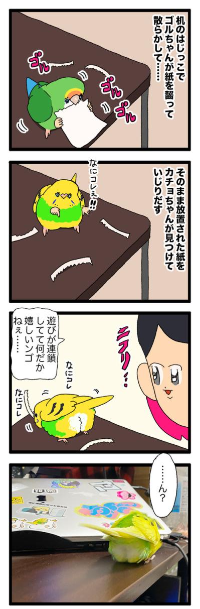 かわいいインコのおしり！もふもふありがとう【鳥マンガ#205】（サムネイル画像5）