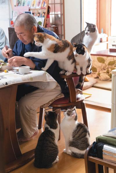 SNSで大人気！ネコ好き必見の「てらねこ」とは？那須の長楽寺8匹の日常の動画が話題（サムネイル画像2）