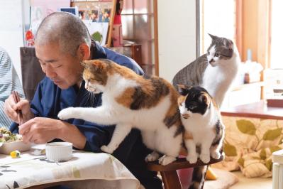 SNSで大人気！ネコ好き必見の「てらねこ」とは？那須の長楽寺8匹の日常の動画が話題（サムネイル画像）