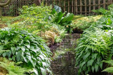 日陰でもガーデニングを諦めない！植物を育てる大事な【日照条件】早わかりガイド（サムネイル画像3）