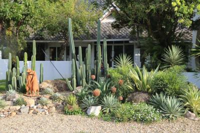 日陰でもガーデニングを諦めない！植物を育てる大事な【日照条件】早わかりガイド（サムネイル画像2）