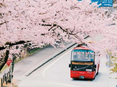 伊豆の三大美味と、源泉かけ流しの湯を堪能！ 心弾む、星野リゾート【界 伊東】の楽しみ方とは？（サムネイル画像16）
