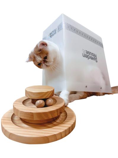 SNSで人気沸騰！紙袋を着るクセ強め猫「じんぱち」がかわいすぎる（サムネイル画像5）