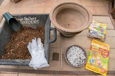 芽出し苗を使えば簡単！長く楽しめる【ヒヤシンス寄せ植え】の作り方（サムネイル画像7）