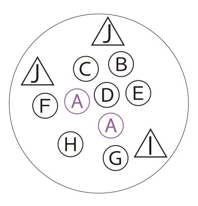 芽出し苗を使えば簡単！長く楽しめる【ヒヤシンス寄せ植え】の作り方（サムネイル画像4）