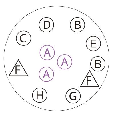吊るして飾ると魅力的！【ヒヤシンスの寄せ植え】室内でも楽しめる水耕栽培のやり方も紹介（サムネイル画像4）