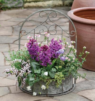 吊るして飾ると魅力的！【ヒヤシンスの寄せ植え】室内でも楽しめる水耕栽培のやり方も紹介（サムネイル画像6）