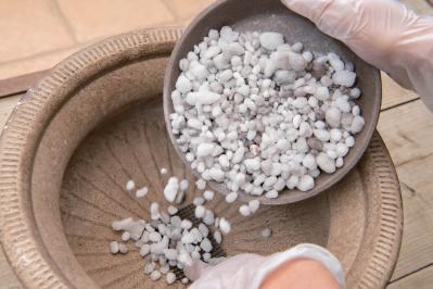 芽出し苗を使えば簡単！長く楽しめる【ヒヤシンス寄せ植え】の作り方（サムネイル画像11）