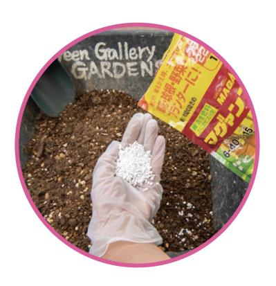 芽出し苗を使えば簡単！長く楽しめる【ヒヤシンス寄せ植え】の作り方（サムネイル画像9）