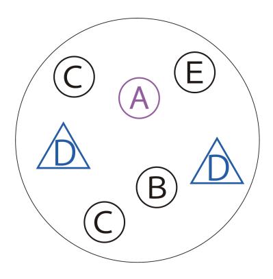 植物の姿の変化が楽しい【ヒヤシンスの寄せ植え】人気のバスケット＆コンテナでおしゃれに！（サムネイル画像7）