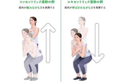 膝や股関節に不安のある人こそオススメ「3秒筋トレ」。驚きのメカニズムと初心者向け実践方法（サムネイル画像3）