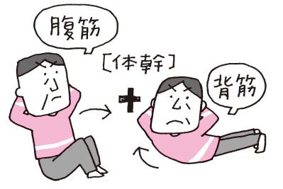 【毛細血管】を若返らせる！血流アップのための簡単運動とおすすめの夕方習慣（サムネイル画像4）