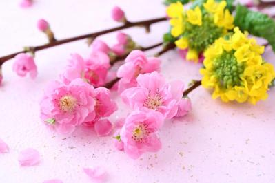 3月2日の「お清め」とは？【365日きょうのお清め】邪気を祓って幸せになる！（サムネイル画像）