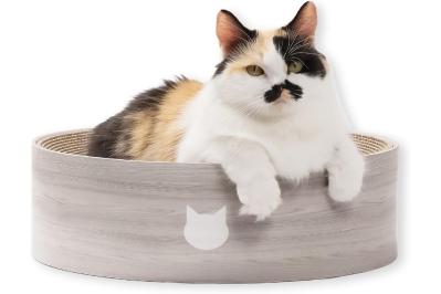 2月22日は猫の日♪ゆうゆうtime編集部おすすめ【キャットタワー・爪とぎ・猫じゃらし】が最大33％OFF！Amazonタイムセール（サムネイル画像4）