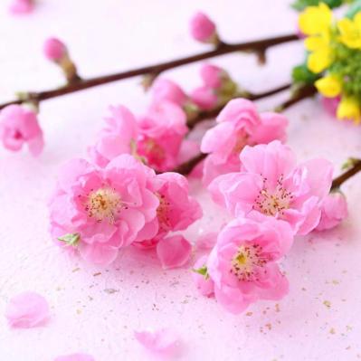 3月2日の「お清め」とは？【365日きょうのお清め】邪気を祓って幸せになる！（サムネイル画像2）