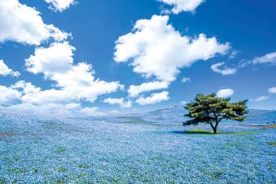 ゆったり【大人の日帰りひとり旅】「クラブツーリズム×ゆうゆうコラボ企画」参加者募集！（サムネイル画像3）