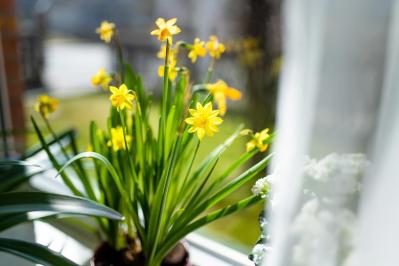 【中道あんさん流】60代から始める！健康も仕事も整う「小さな習慣」5つ（サムネイル画像）