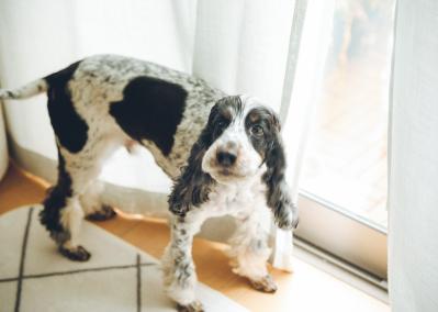 60代ブロガー、人生初のひとり暮らしは2LDKの賃貸マンション「テーマは”身軽”です」（サムネイル画像7）