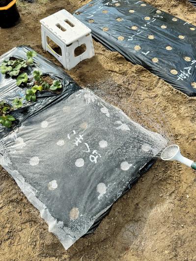 60代ブロガー「人生を変えたい」と思ったら、クローゼット整理。20代から続けてきた、お財布にもやさしい整理のコツ（サムネイル画像4）