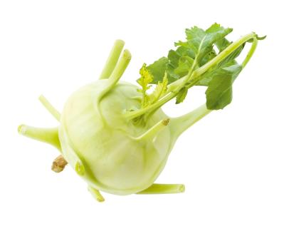 鉢で簡単に育てられる！春まき野菜【ラディッシュ＆コールラビ】の栽培のコツ（サムネイル画像10）