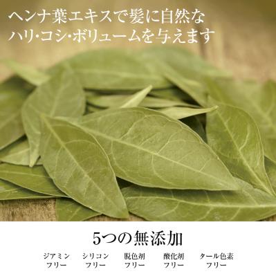 髪と頭皮にやさしい色もちケア！テンスター ヘナ プレミアムカラートリートメント（サムネイル画像4）