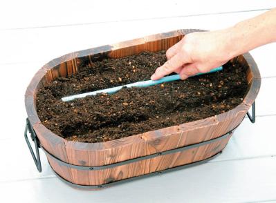 鉢で簡単に育てられる！春まき野菜【ラディッシュ＆コールラビ】の栽培のコツ（サムネイル画像4）