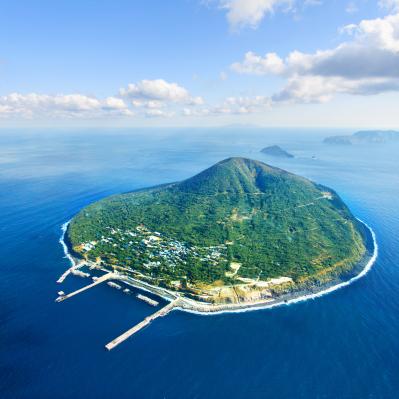 高精製だから髪にも肌にもサラッと使える 伊豆利島産の本島純椿（サムネイル画像2）