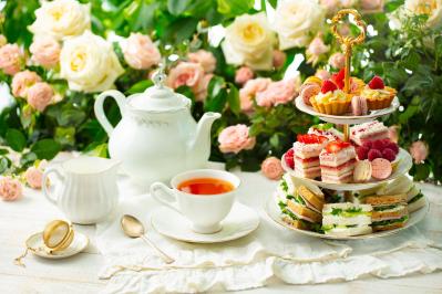 【3月のバラ管理】新芽がカギ！？差がつく芽かき3ポイントと遅霜対策