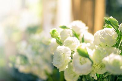 棺の中から聞こえた“死者のジョーク”「おーい、出してくれ！」は本当だった！？（サムネイル画像）