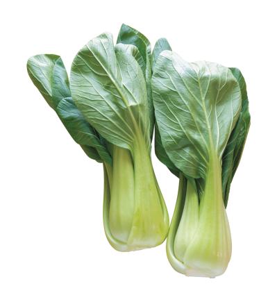 地球にも家計にもやさしい【チンゲンサイのリボベジ】3カ月半後に収穫できる！（サムネイル画像3）