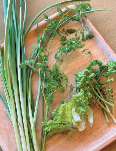 捨ててしまう野菜の根、ヘタを再利用！【リボベジ】の始め方。失敗しないコツは？（サムネイル画像6）