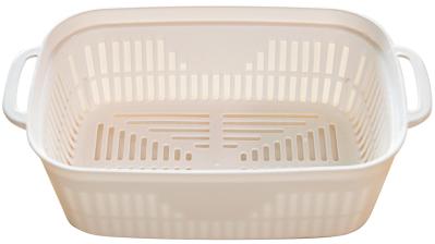 捨ててしまう野菜の根、ヘタを再利用！【リボベジ】の始め方。失敗しないコツは？（サムネイル画像11）