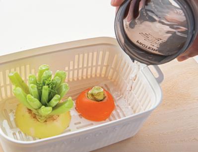 捨ててしまう野菜の根、ヘタを再利用！【リボベジ】の始め方。失敗しないコツは？（サムネイル画像14）