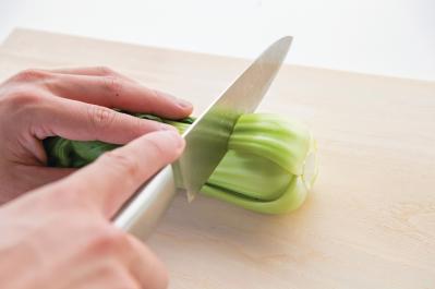 地球にも家計にもやさしい【チンゲンサイのリボベジ】3カ月半後に収穫できる！（サムネイル画像4）