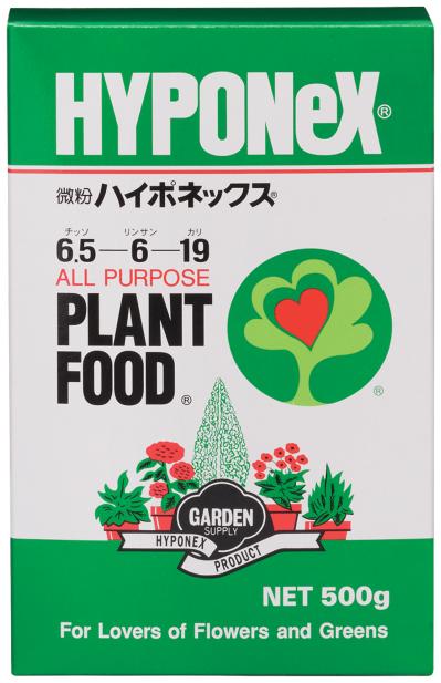 捨ててしまう野菜の根、ヘタを再利用！【リボベジ】の始め方。失敗しないコツは？（サムネイル画像13）