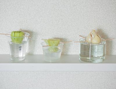 捨ててしまう野菜の根、ヘタを再利用！【リボベジ】の始め方。失敗しないコツは？（サムネイル画像3）