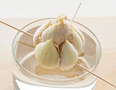 野菜が育っていく姿を見るのも楽しい【リボベジ】ニンニク、ネギ栽培のポイント（サムネイル画像4）