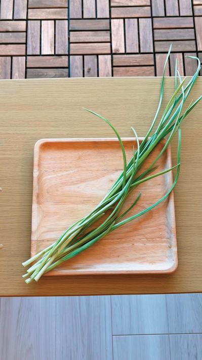 野菜が育っていく姿を見るのも楽しい【リボベジ】ニンニク、ネギ栽培のポイント（サムネイル画像9）
