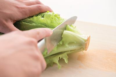 キッチンで簡単に育つ【リボベジ】リーフレタス、ニンジン、ダイコンの栽培方法は？（サムネイル画像4）